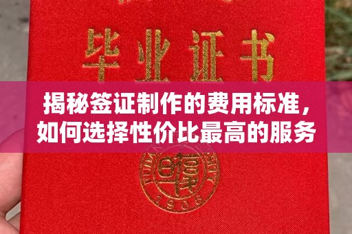 雁山揭秘签证制作的费用标准，如何选择性价比最高的服务？
